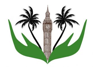 Viviano Andrade appeal